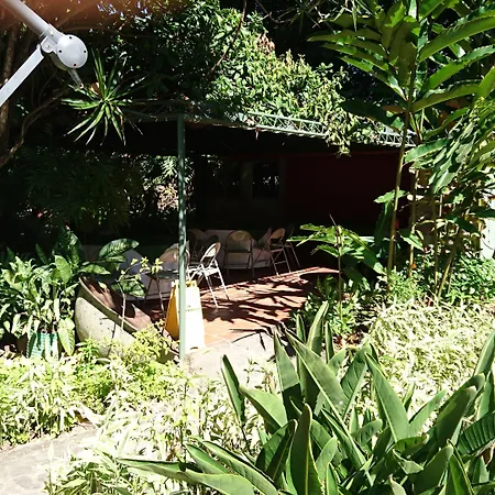 Novo Hotel & Suite-3